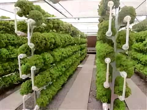 彩虹故鄉，又踏層峰望眼開 互助縣經濟社會發展紀實中的農業種植技術開發