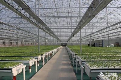科技賦能，田園生輝 肥東現代農業示范園即將盛大開園