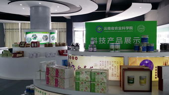 云南省農(nóng)業(yè)科學(xué)院科技產(chǎn)品電子商務(wù)營銷中心成立，開啟智慧農(nóng)業(yè)新篇章