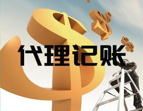 臨沂會計代理記賬公司 一站式專業(yè)服務助力企業(yè)高效發(fā)展